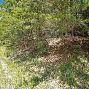 08-Coal Bank Hollow Rd_08