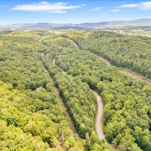 12-Coal Bank Hollow Rd_12