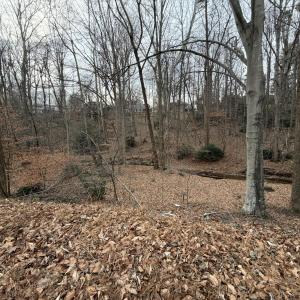 Lot 22