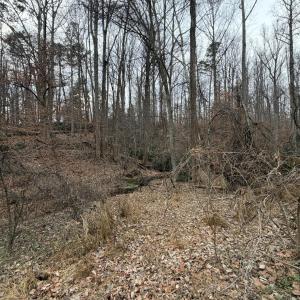 Lot 23