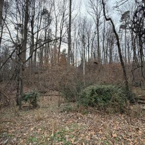 Lot 24
