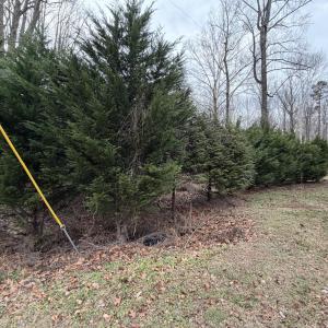 Lot 27