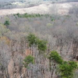 Wooded Acreage
