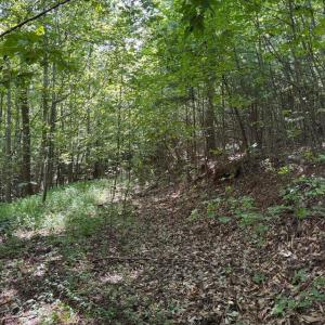 20250818144333856255000000-o