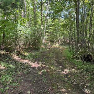 20250818144319597731000000-o