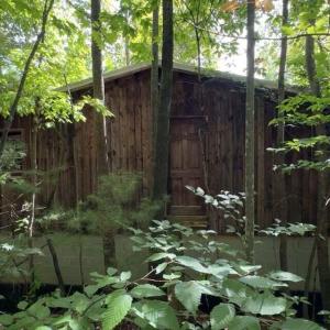 20250818144948787121000000-o