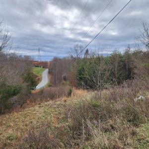 20250324_134750_resized