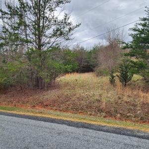 20250324_134842_resized