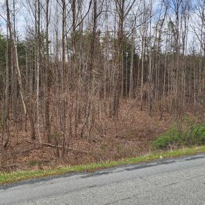 20250324_135047_resized