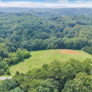 43-DJI_20250611153939_0329_D