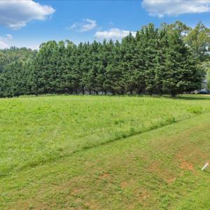 15-DJI_20250611152840_0301_D