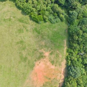 32-DJI_20250611153354_0318_D