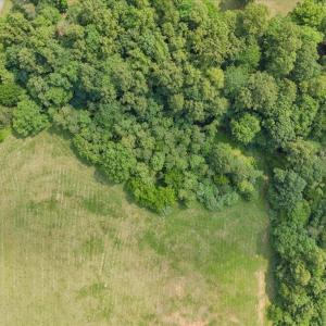 33-DJI_20250611153406_0319_D