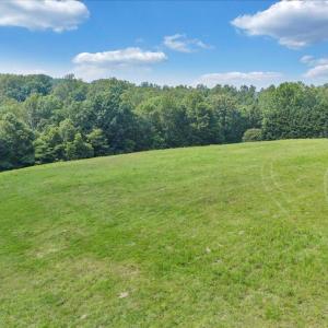 54-DJI_20250611154241_0340_D