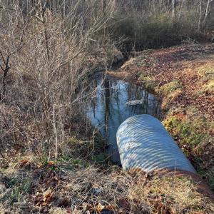 Lot 4 Sunny Seven Dr