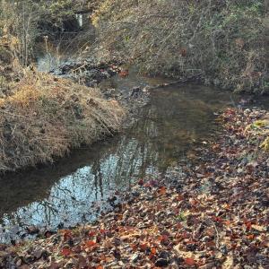 Lot 4 Sunny Seven Dr