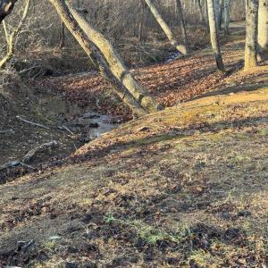 Lot 4 Sunny Seven Dr