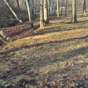 Lot 4 Sunny Seven Dr