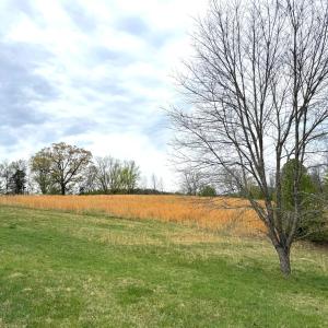 Lot 1 Springhouse Ln