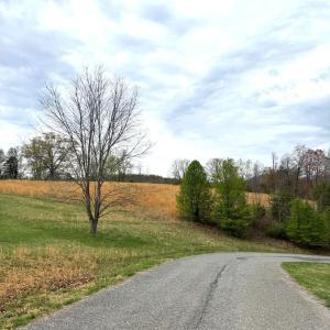 Lot 1 Springhouse Ln