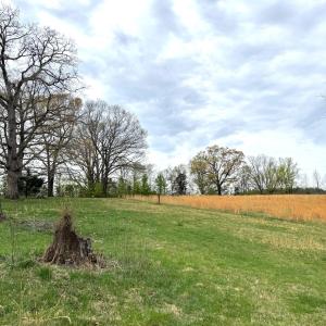 Lot 1 Springhouse Ln