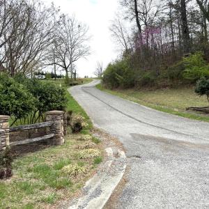 Lot 1 Springhouse Ln
