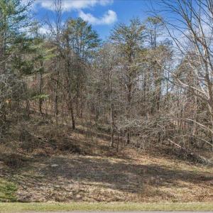 08-DJI_20250312152627_0014_D