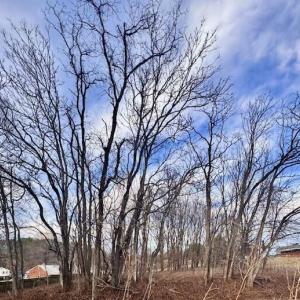 37ebccfa-b3ad-453a-92de-bf5b43078e23