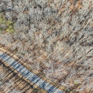 DJI_20260113103234_0010