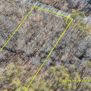 DJI_20260113103340_0019-Edit