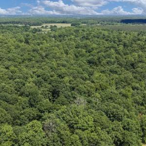 Photo #13 of CUSTERS TRCE, SPOTSYLVANIA, VA 20.0 acres