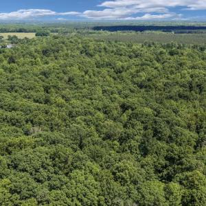 Photo #14 of CUSTERS TRCE, SPOTSYLVANIA, VA 20.0 acres