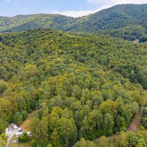 03-LOT 0 Willow Branch Rd_03