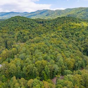 04-LOT 0 Willow Branch Rd_04