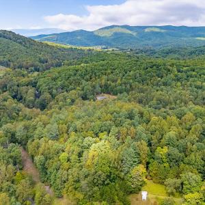 05-LOT 0 Willow Branch Rd_05