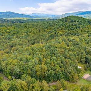 06-LOT 0 Willow Branch Rd_06