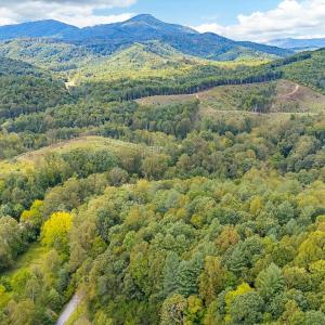 07-LOT 0 Willow Branch Rd_07