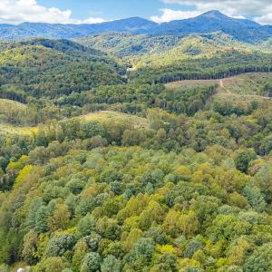 08-LOT 0 Willow Branch Rd_08