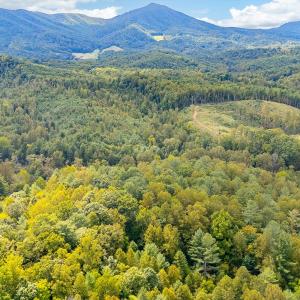 09-LOT 0 Willow Branch Rd_09