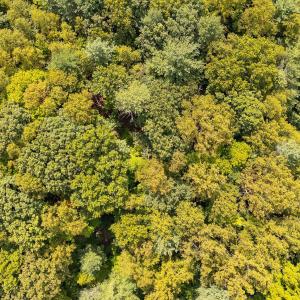 10-LOT 0 Willow Branch Rd_10