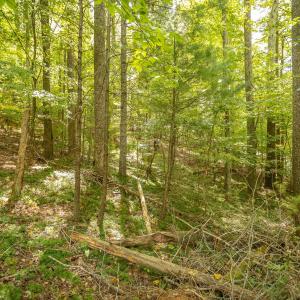 12-LOT 0 Willow Branch Rd_12