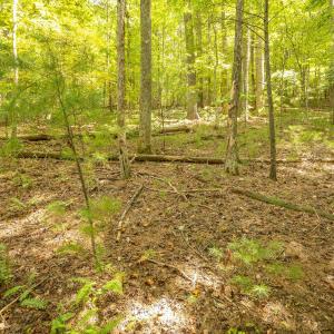 14-LOT 0 Willow Branch Rd_14