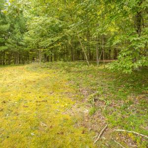 16-LOT 0 Willow Branch Rd_16