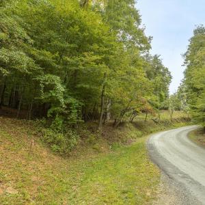 18-LOT 0 Willow Branch Rd_18