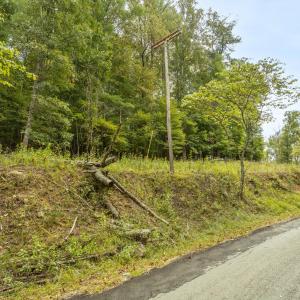 19-LOT 0 Willow Branch Rd_19