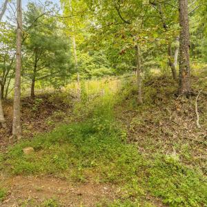 20-LOT 0 Willow Branch Rd_20