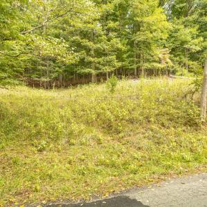 21-LOT 0 Willow Branch Rd_21