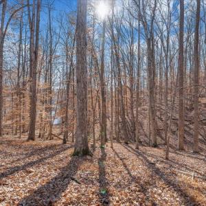 Lot 8, Leeward Drive