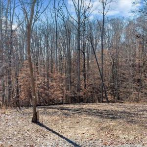 Lot 8, Leeward Drive