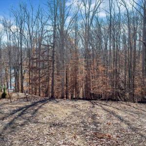 Lot 8, Leeward Drive